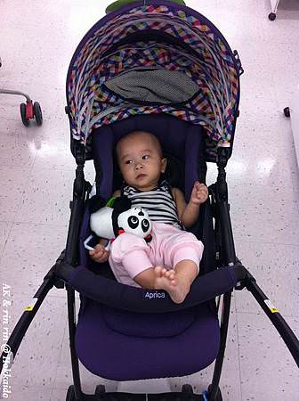 nEO_IMG_IMG_1537.jpg