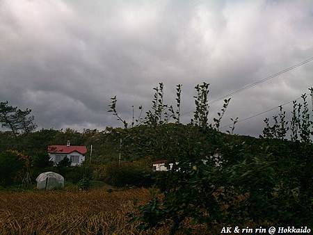 nEO_IMG_DSC_0121.jpg