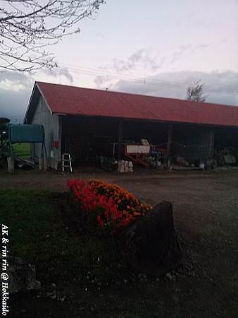 nEO_IMG_DSC_0181.jpg