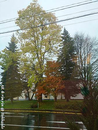 nEO_IMG_DSC_0211.jpg
