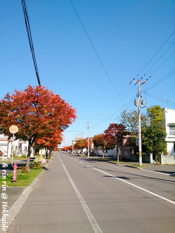 nEO_IMG_DSC_0299.jpg