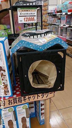 nEO_IMG_IMG_1383547342676.jpg