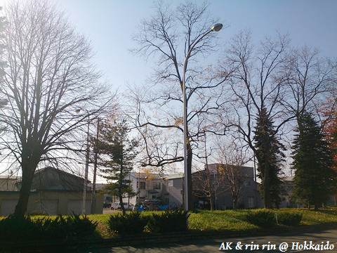 nEO_IMG_DSC_0776.jpg