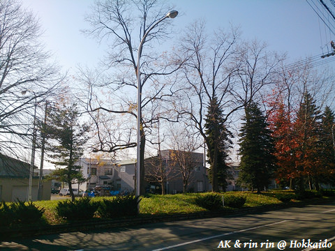 nEO_IMG_DSC_0777.jpg