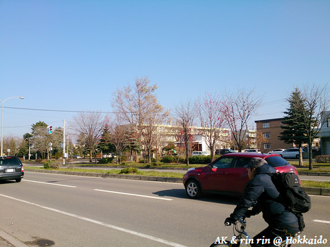 nEO_IMG_DSC_0778.jpg