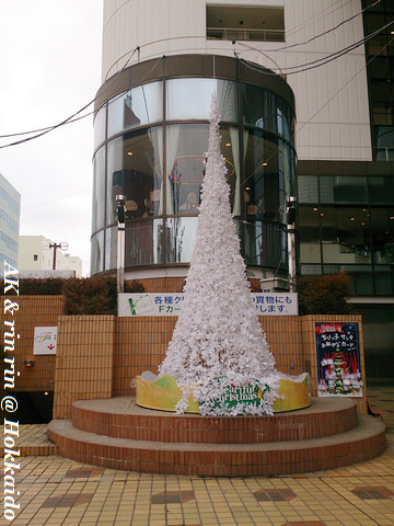 nEO_IMG_DSC_0291.jpg