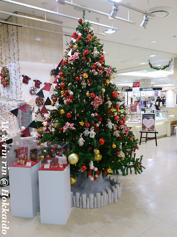nEO_IMG_DSC_0294.jpg