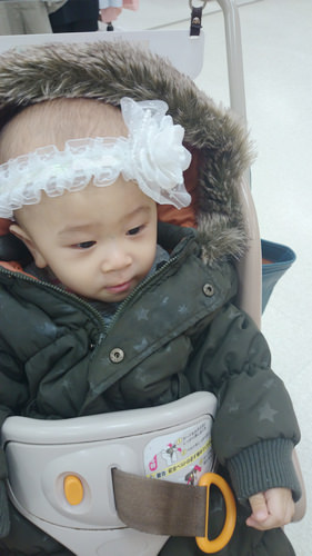 nEO_IMG_DSC_0141.jpg