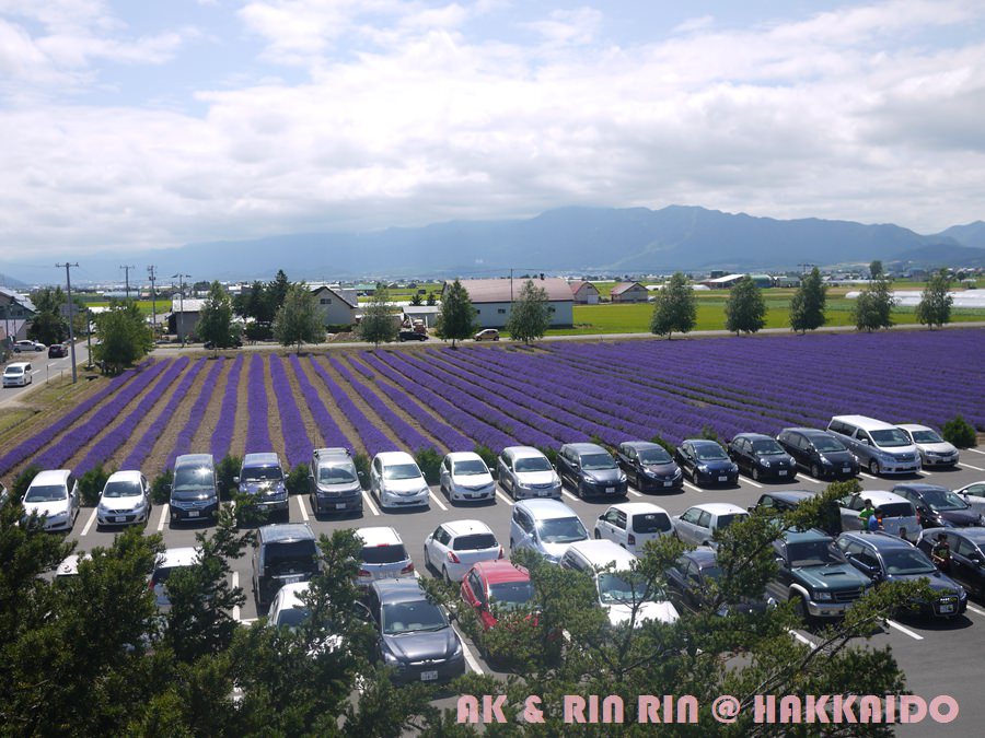 105.jpg