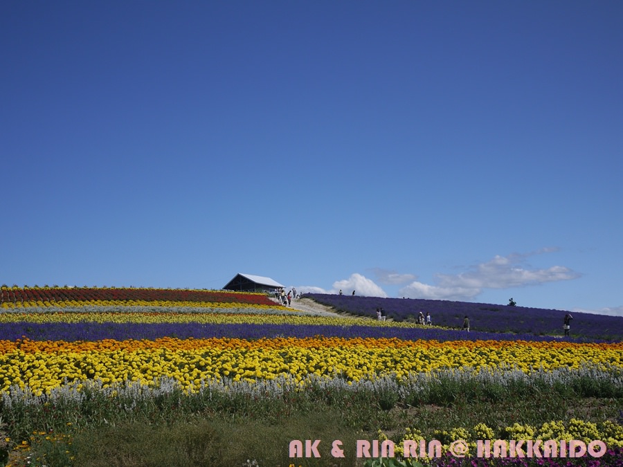 126.jpg