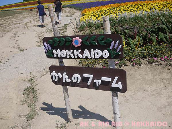 155.jpg
