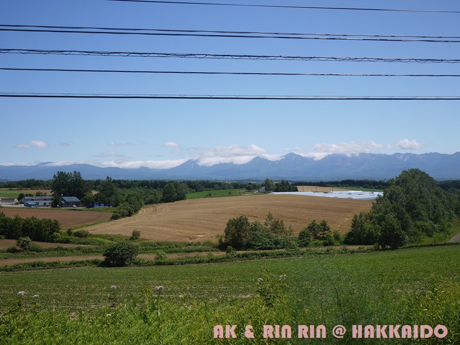223.jpg