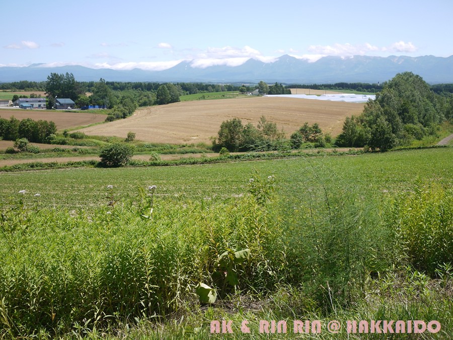 224.jpg