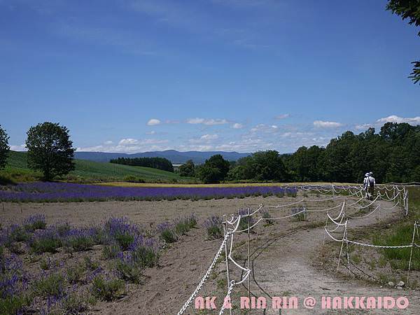 230.jpg