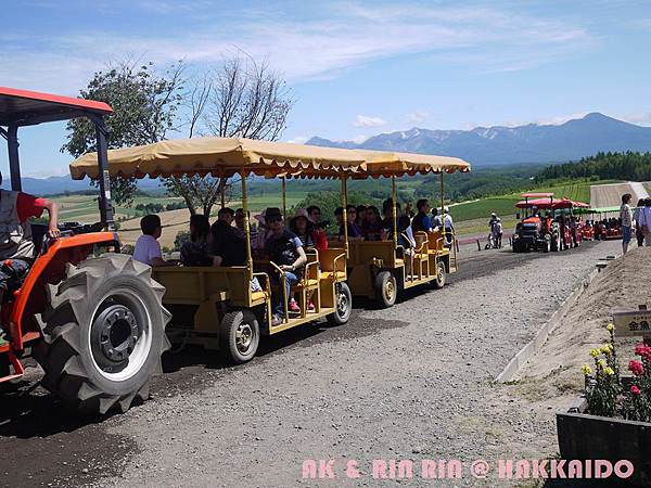 254.jpg