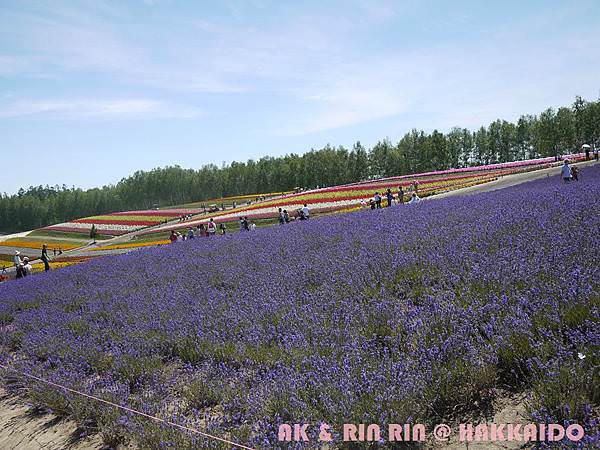 257.jpg