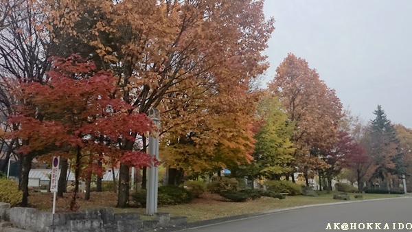 439.jpg