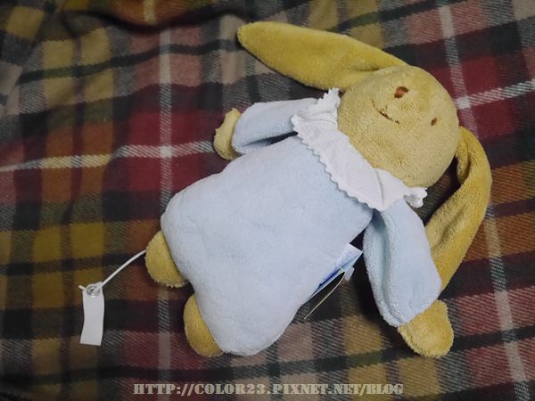 030.jpg
