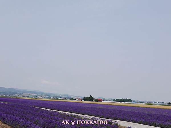 111.jpg