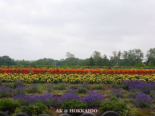 190.jpg