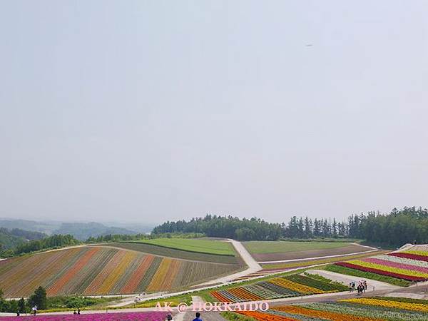 264.jpg