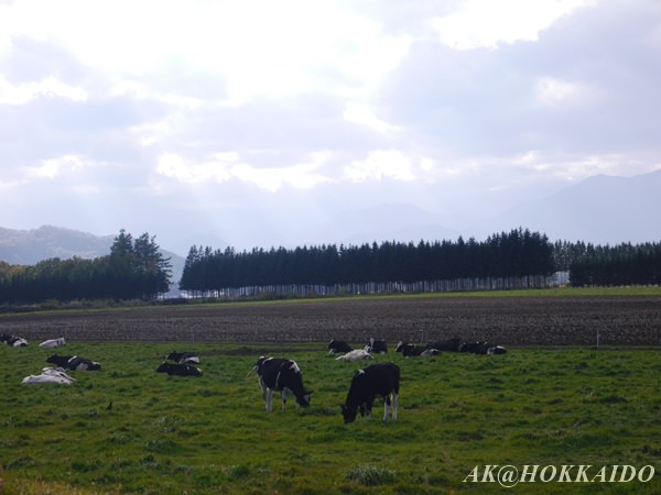 P1710757.JPG