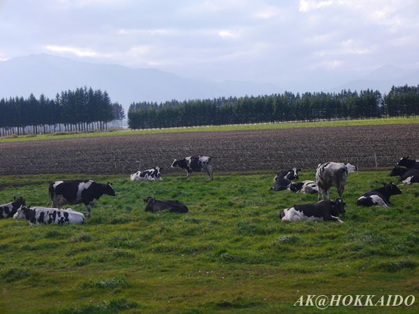 P1710760.JPG