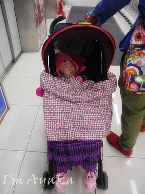 P1740745.JPG