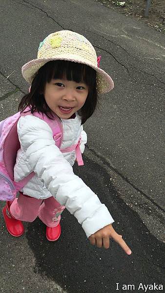 IMG_4513.JPG